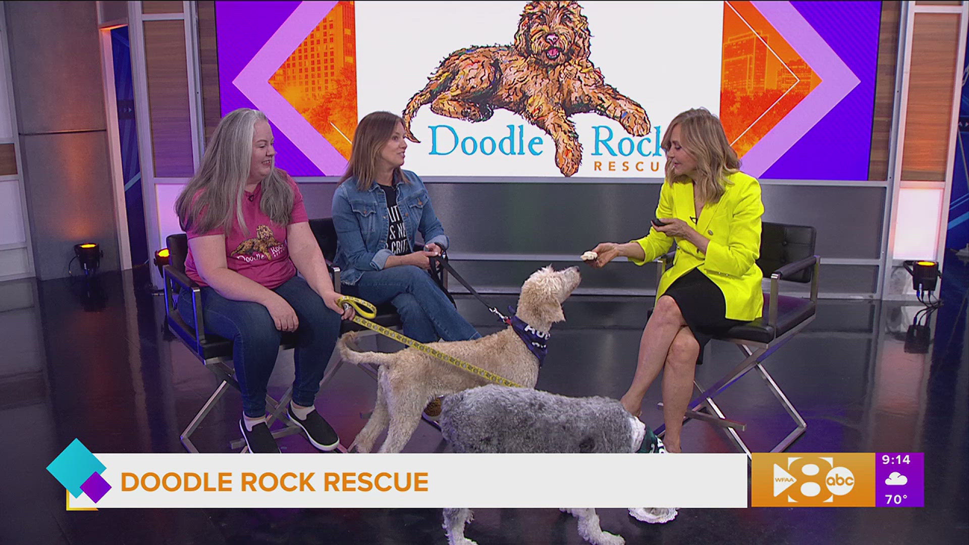 Meet some cuties from Doodle Rock Rescue and what the organization is doing to find dogs like them forever homes. Go to doodlerockrescue.org for more information.