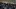 Crowds cheer as Dallas ISD D-League athletes start 2023 basketball season