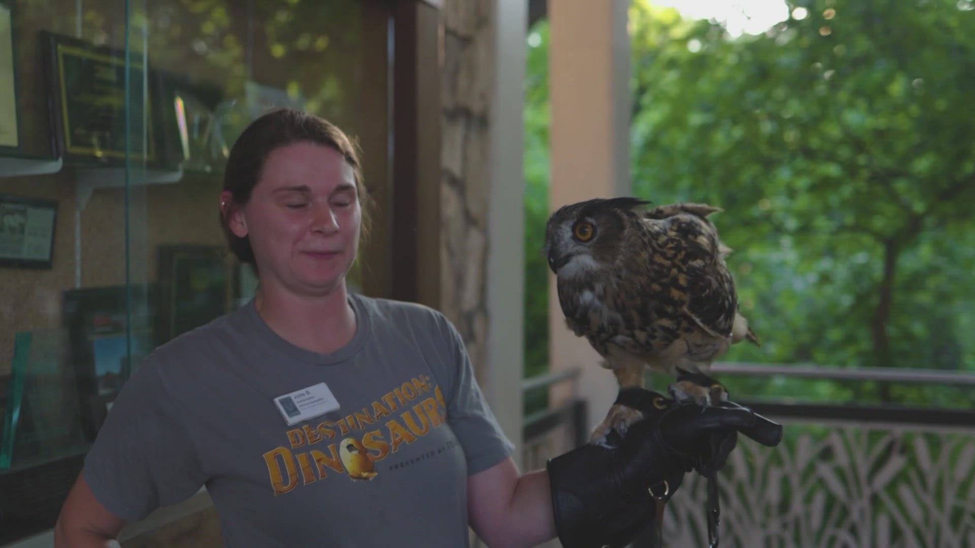 The Dallas Zoo is adjusting its hours to 8 a.m. - 3 p.m. to protect people and animals from the dangerously hot weather.