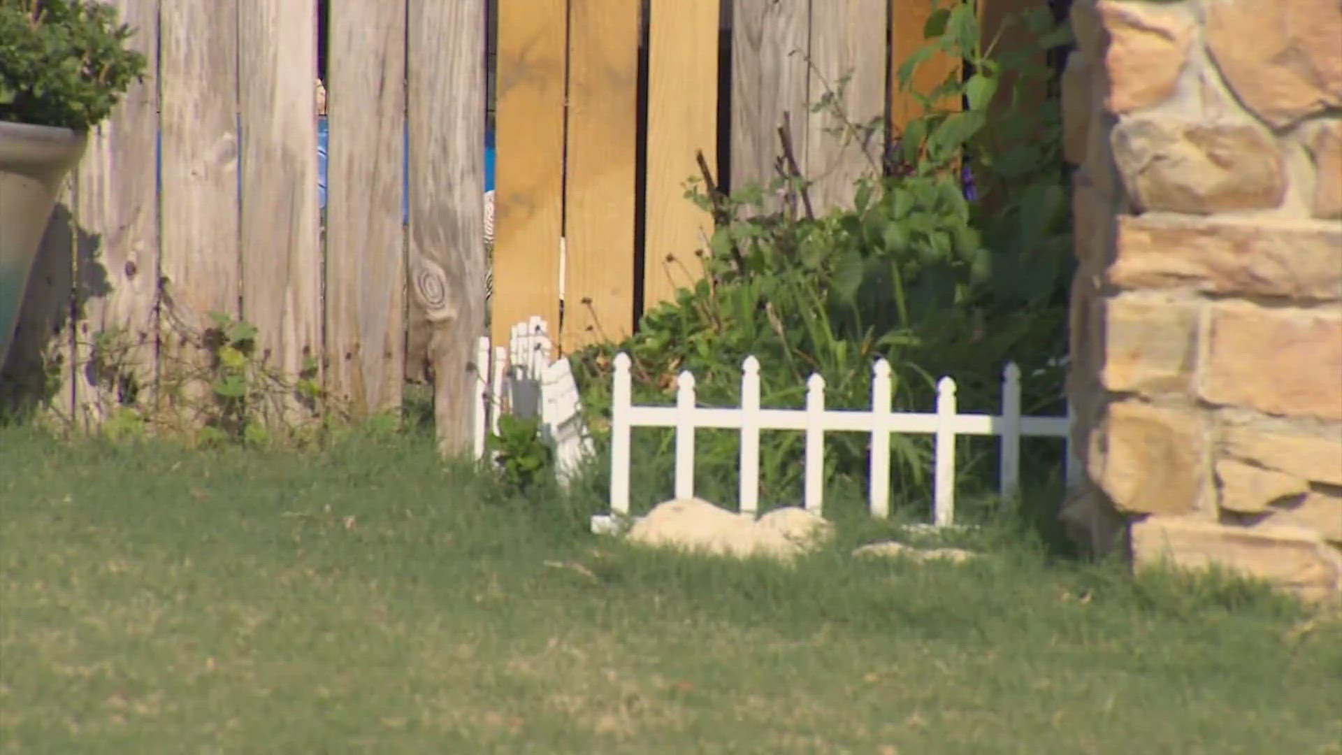 A Texas man shot and killed his neighbor's dog in Tarrant County. Some in the community and the dog's owner are calling the shooting unjust.