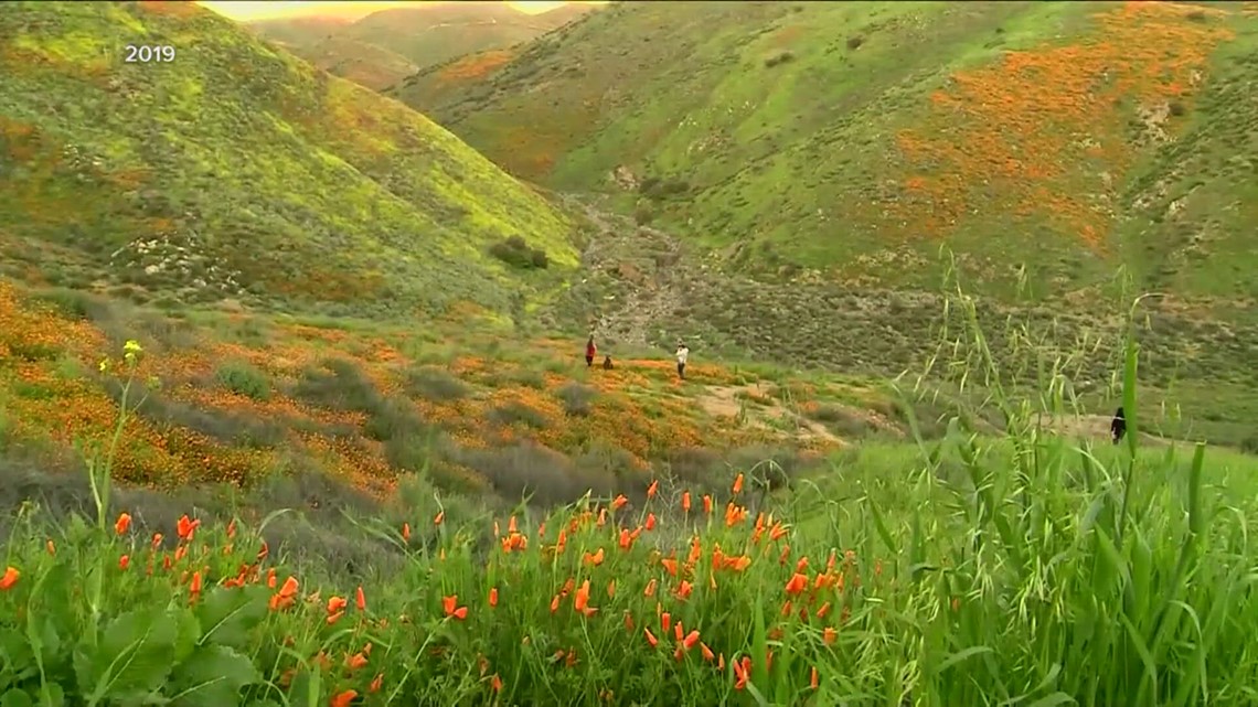 2023 Fall Foliage: Local creating ways to push back tourists | wfaa.com