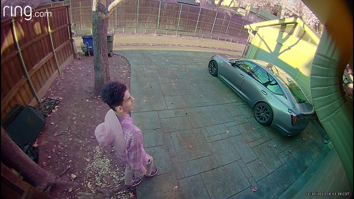 Tree trimmers scam targets Dallas couple's home