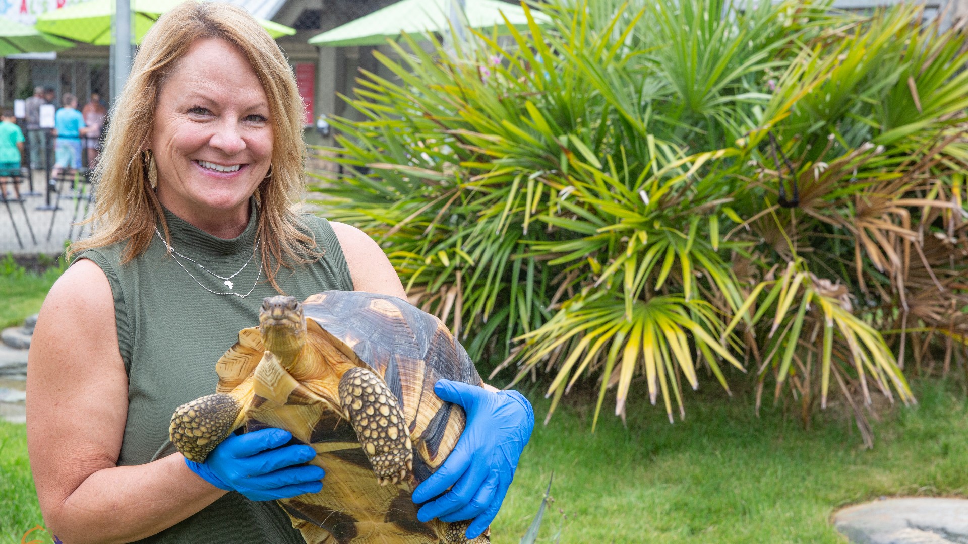 Dallas Zoo names Lisa New as CEO | wfaa.com