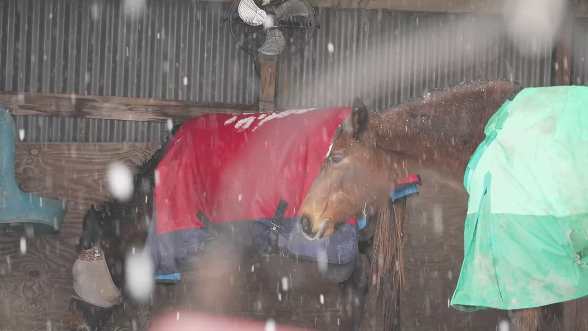 The therapy center, which opened in 2012, specializes in providing therapeutic riding lessons for children and some adults with special needs.