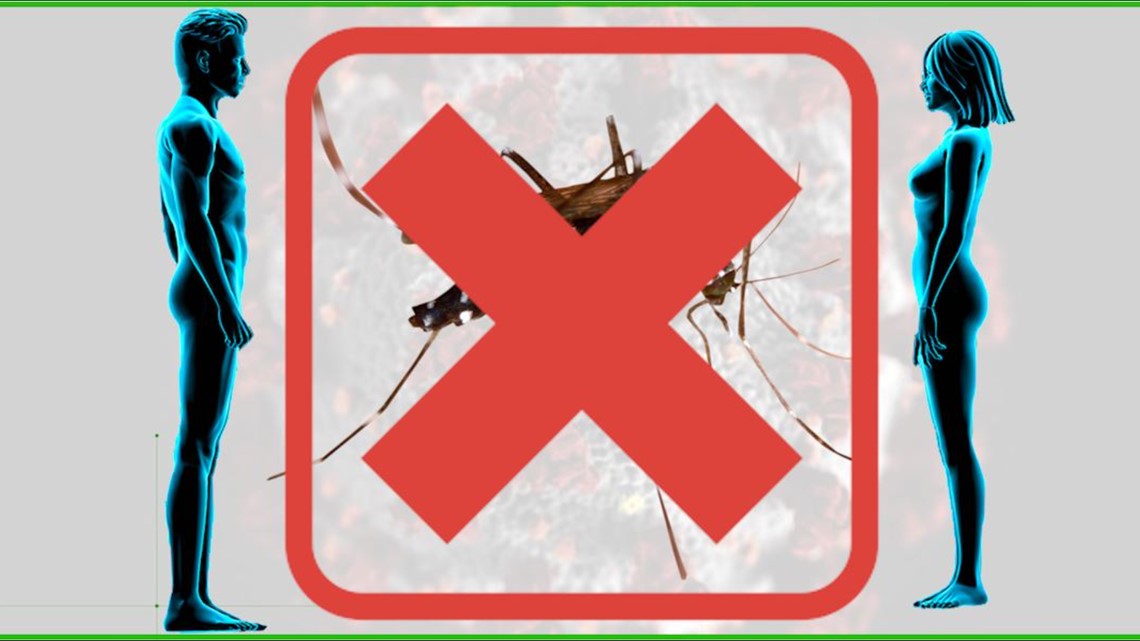 VERIFY: No, you can't get COVID-19 from a mosquito - Vimarsana News