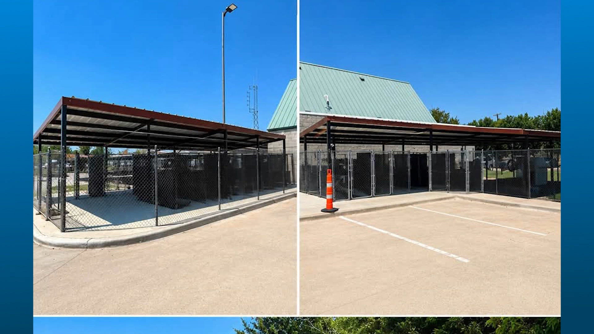 Rowlett reviews AI policy after publishing edited animal shelter photos ...