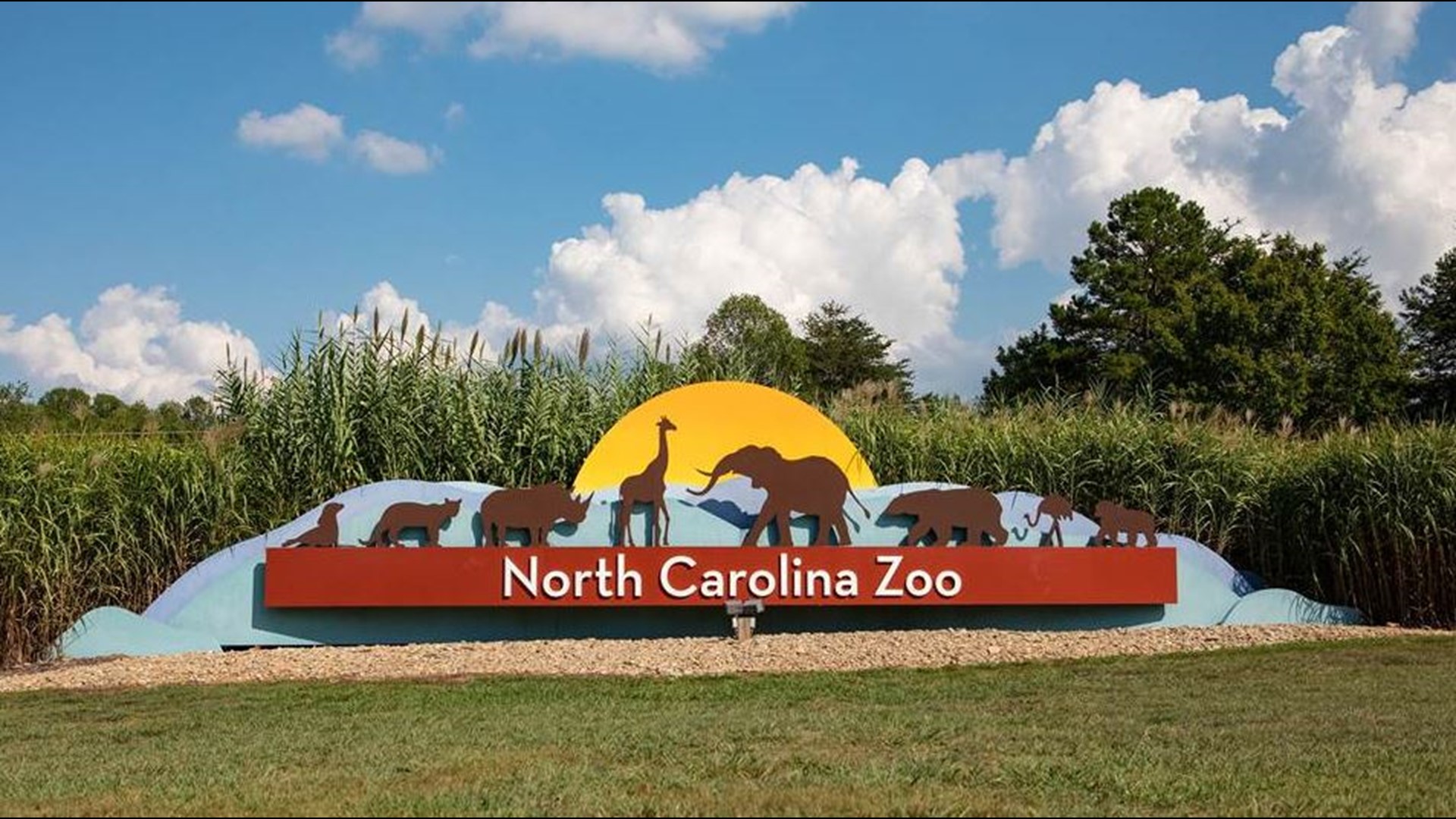 NC Zoo expansion will include adding two new continents including Asia and Australia.