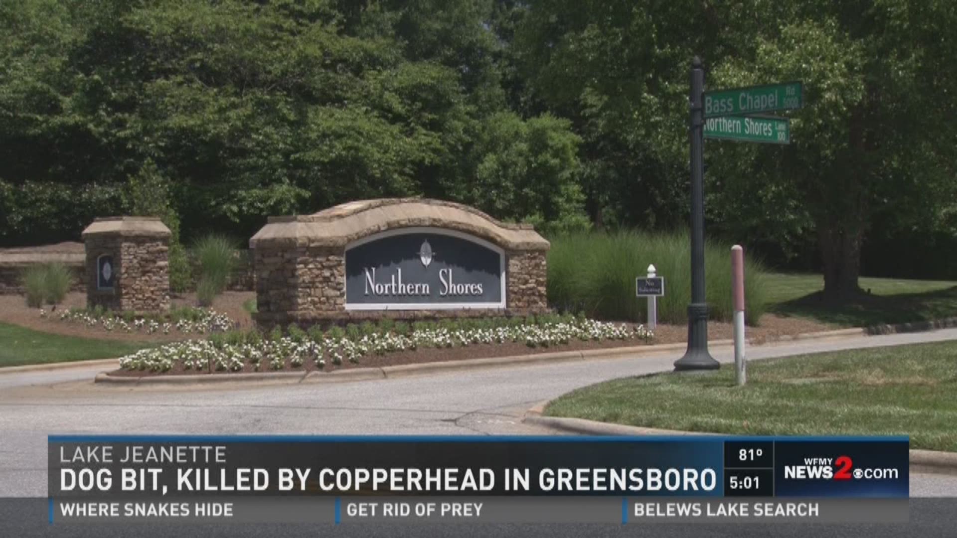 Dog Bit, Killed By Copperhead In Greensboro