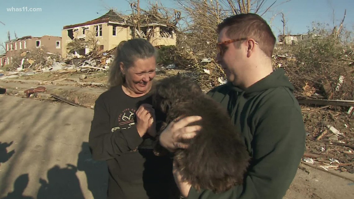 Mayfield tornado survivor cheats death, reunites with dog - Vimarsana News