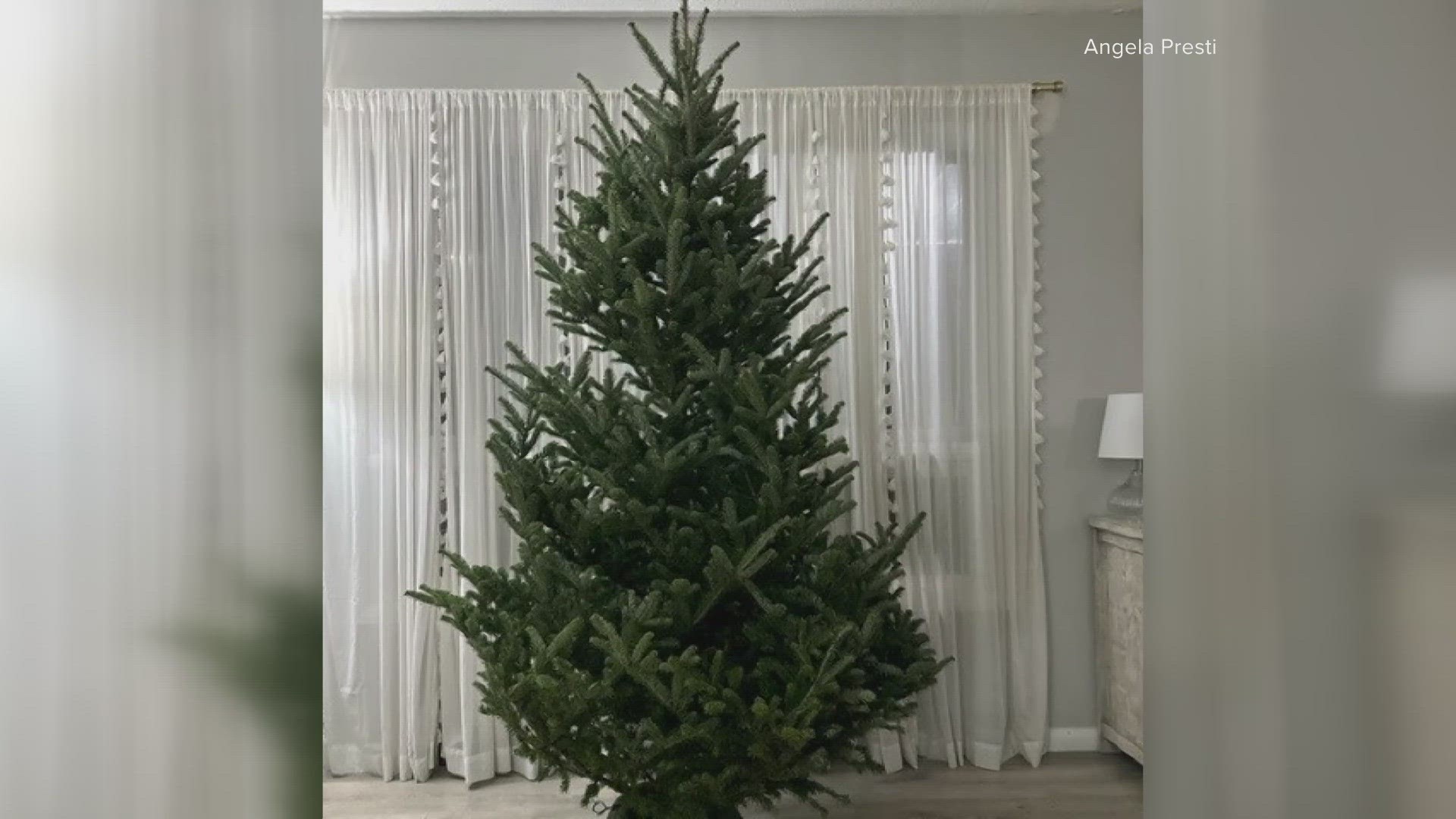 A Parma woman went into anaphylactic shock after exposure to her first real Christmas tree. There is actually a condition called 'Christmas Tree Syndrome.'