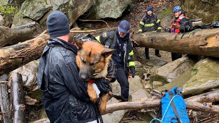 Dog reunited with family after river rescue