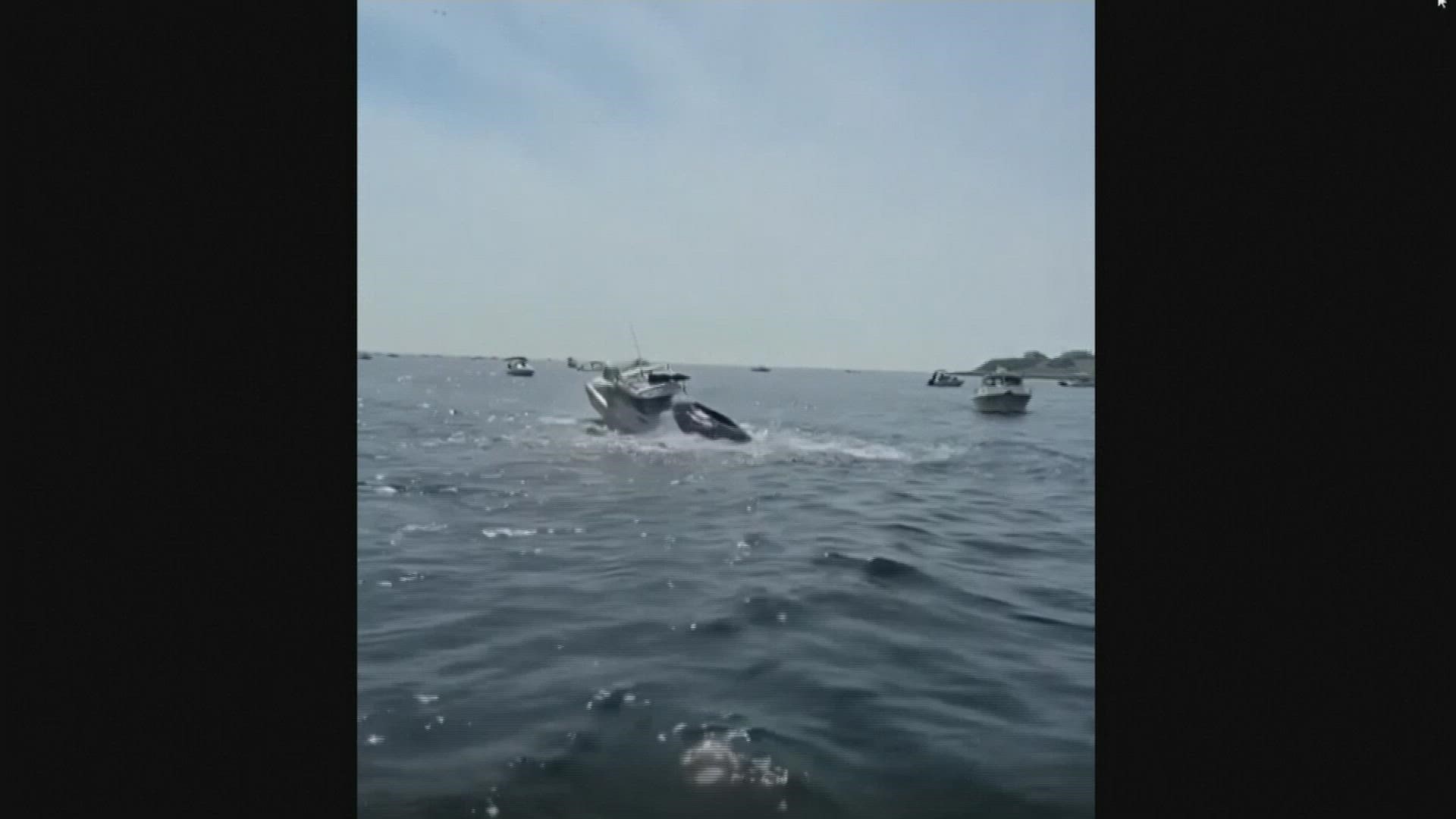 Plymouth officials are reminding boaters to stay at least 100 yards away from whales to minimize these incidents.