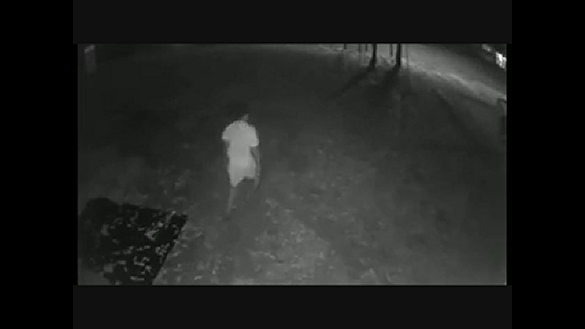 Video shows Ahmaud Arbery walking out of a home under construction, then jogging down Satilla Drive in December.