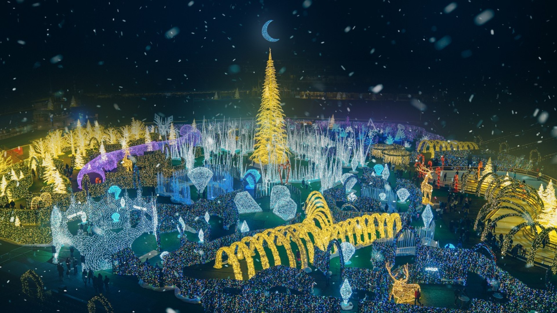 Best christmas lights display in tampa bay 10 things to do this weekend in Tampa Bay: Christmas lights | wfaa.com