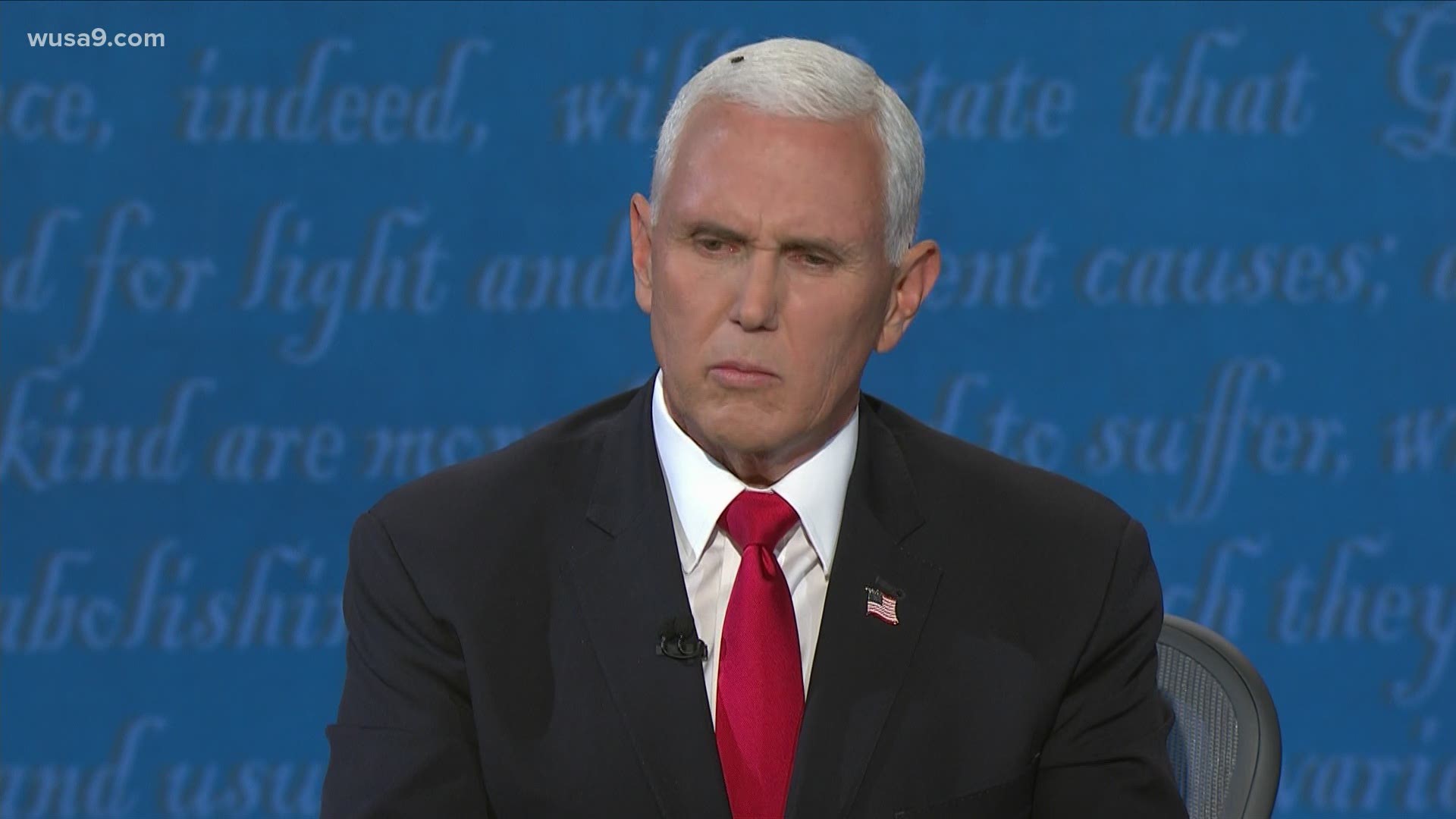 During the first and only VP debate a fly took center stage and landed on Mike Pence's head during a question about race in America.