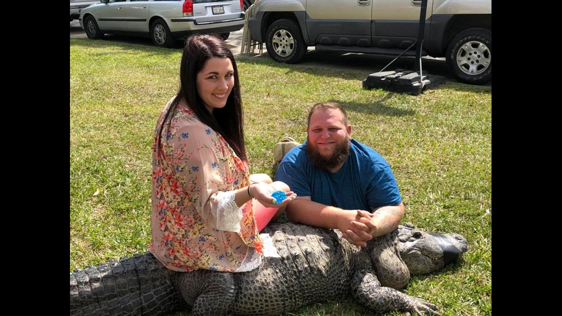 Louisiana Mans Alligator Gender Reveal Video Goes Viral 0094