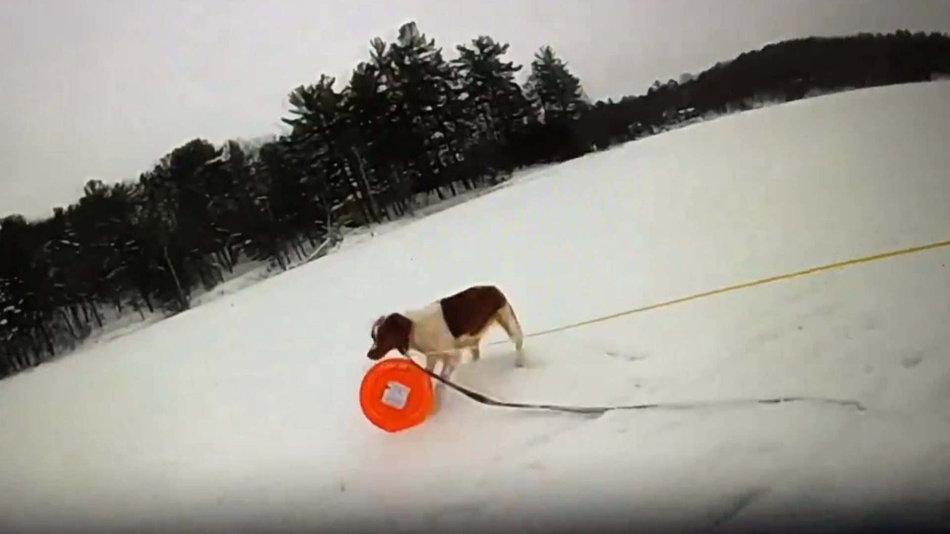 The man was rescued with help from his pet dog, Ruby, after he was stuck in the icy water for 16 minutes.